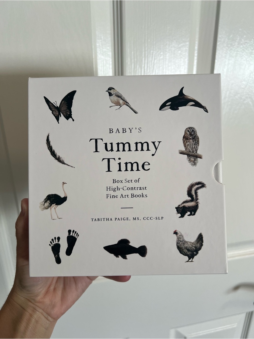 Baby's Tummy Time Book Box Set of 3 for Contrast